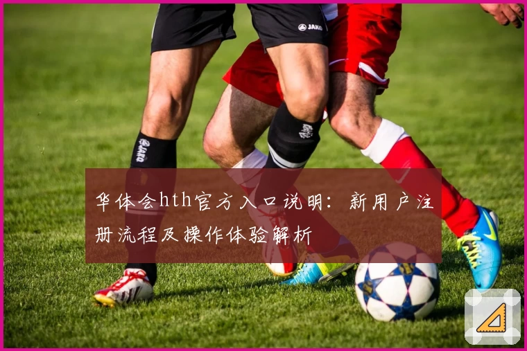 华体会hth官方入口说明：新用户注册流程及操作体验解析